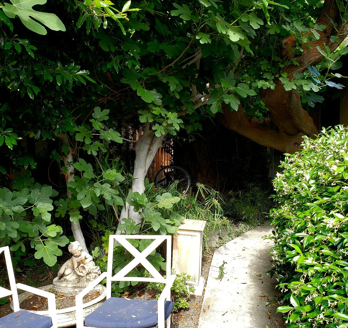 2 bed, 1000 sqft, $3,200 — Photo 3