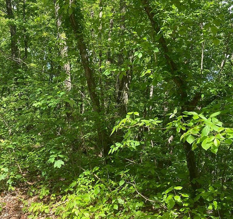 1st image of 0 Hatcher Top Rd Lot 6