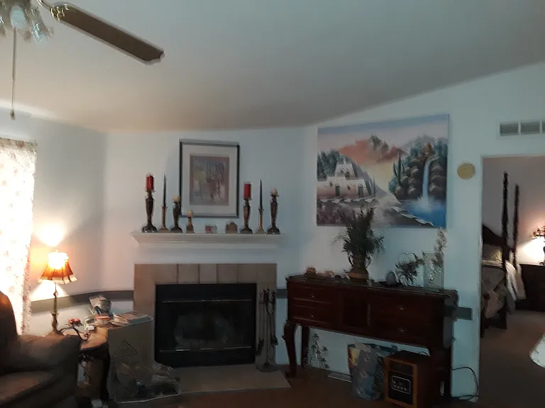 Living Room
with Fireplace
