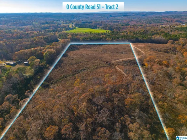0 Tract County Rd #2-51, Woodland, AL 36280