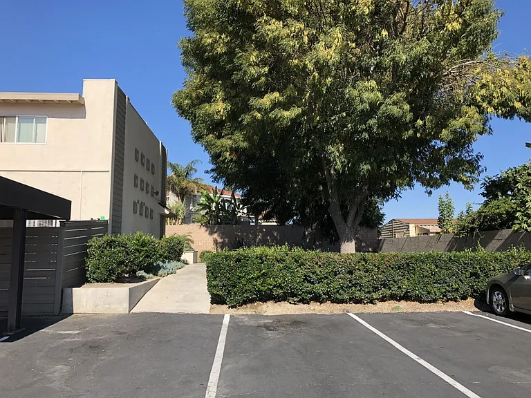 The Manor — Photo 6