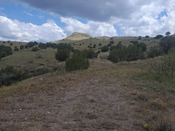 Xx Hot Springs Canyon Rd, Faywood, NM 88034