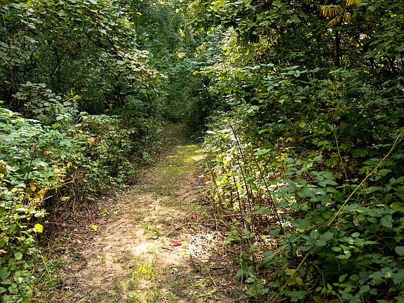 5th image of 667 Pierce Rd