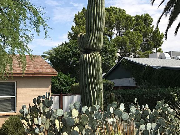 Desert landscaping in front