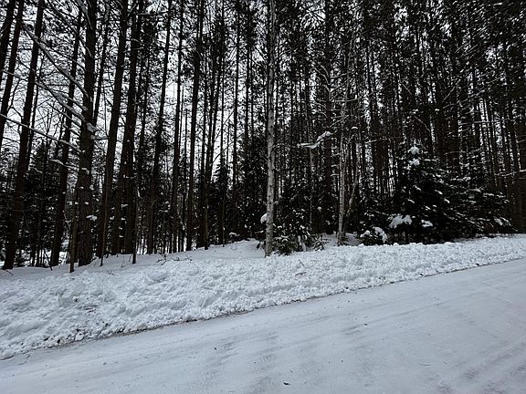 4th image of On Timber Wolf Rd