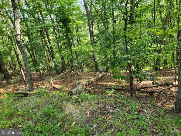 Deloris Rd, Basye, VA 22810