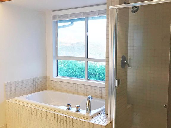 Master bath with shower and soaking tub with a view