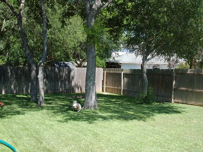 1136 Berry Park — Photo 16
