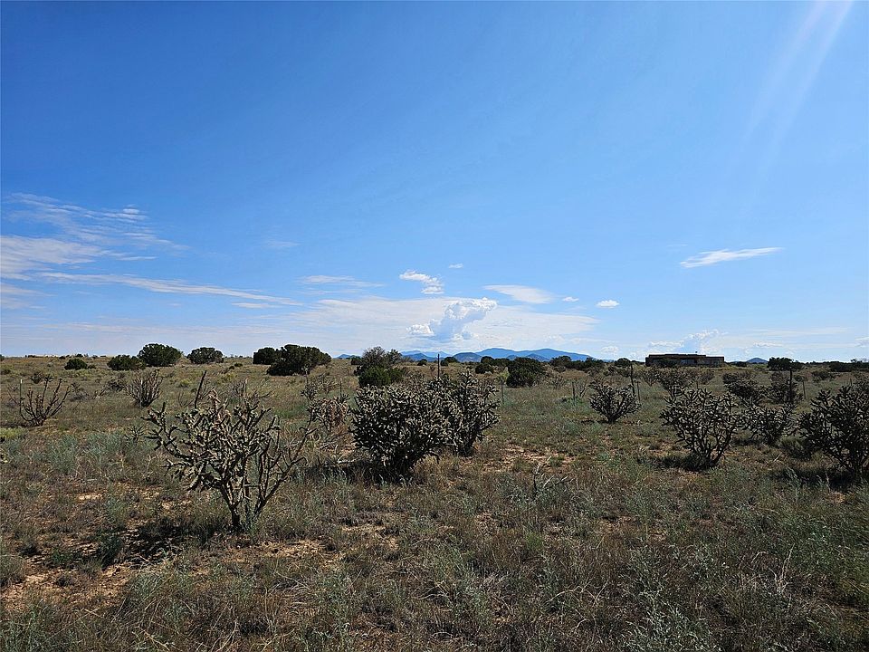 2nd image of 251 Spur Ranch Rd