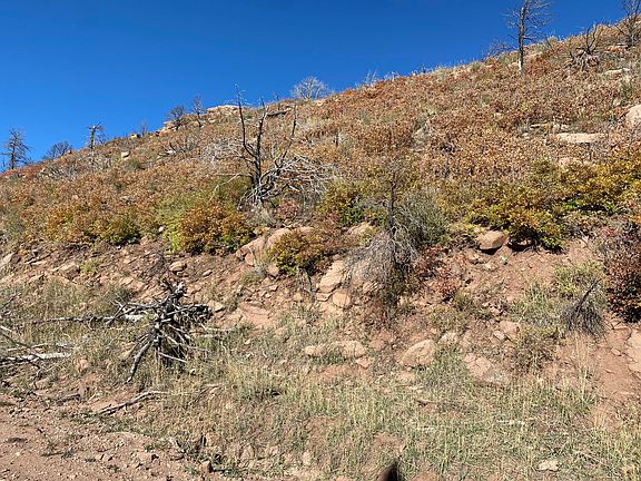 4th image of 2791 County Road 442