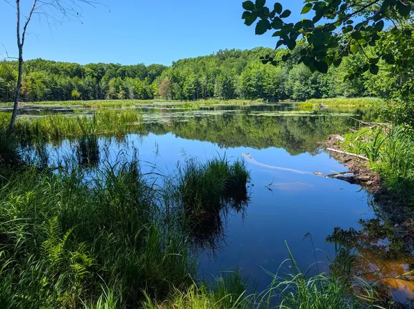 0 W Y Rd, Exeland, WI 54835