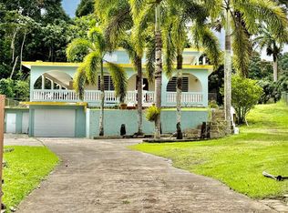 Road181 Km103 Quebhonda Road Km #181-10.3, San Lorenzo, PR 00754