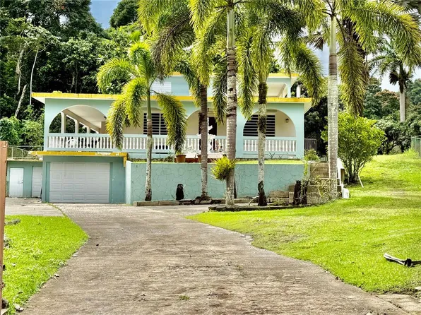 Road181 Km103 Quebhonda Road Km #181-10.3, San Lorenzo, PR 00754