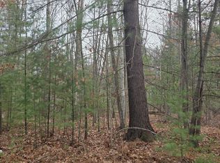 N Branch Drive Pass Vl, Beaverton, MI 48612