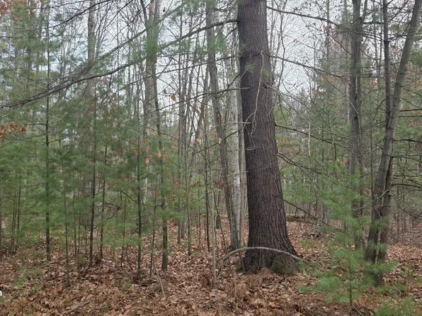 N Branch Drive Pass Vl, Beaverton, MI 48612