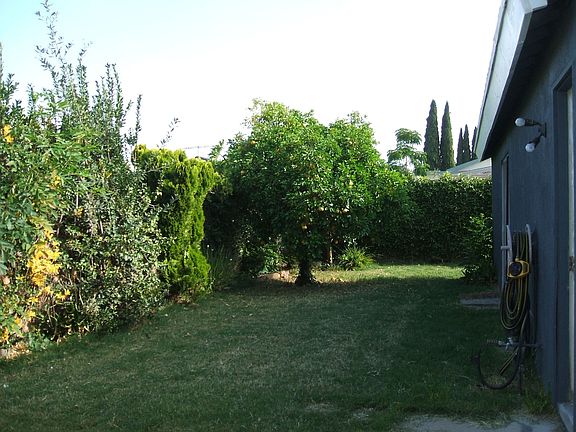 Backyard off 2 bedrooms.