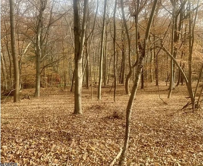 1st image of 85 Cherryville Hollow Rd