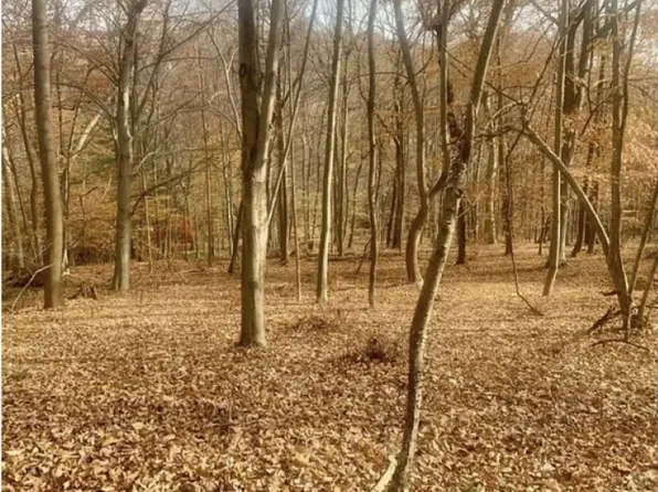 85 Cherryville Hollow Rd, Raritan Twp., NJ 08822