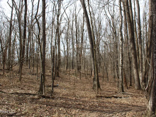 2167 Hogan Rd, Holly Springs, MS 38635