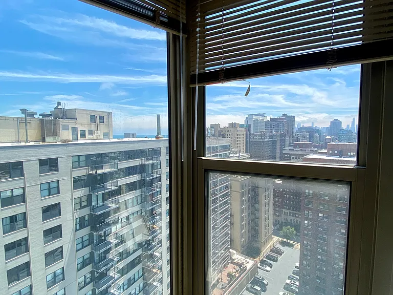 525 W Hawthorne Pl #2105 — Photo 11