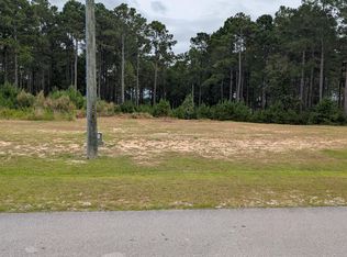 251 Gus Horne Rd, Holly Ridge, NC 28445