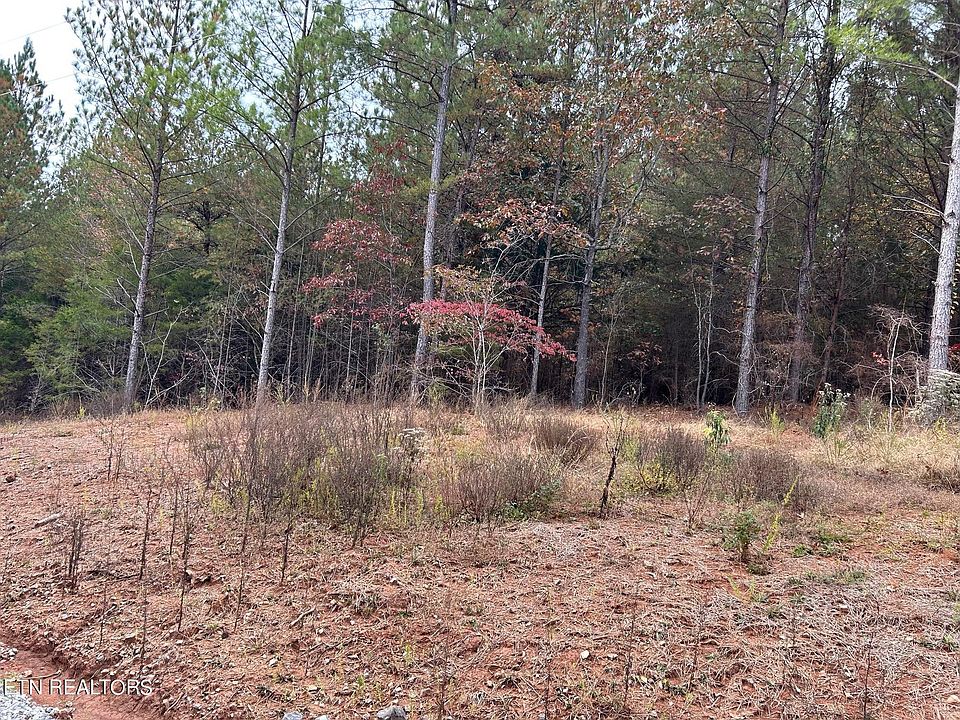 2nd image of 221 Cody Ln