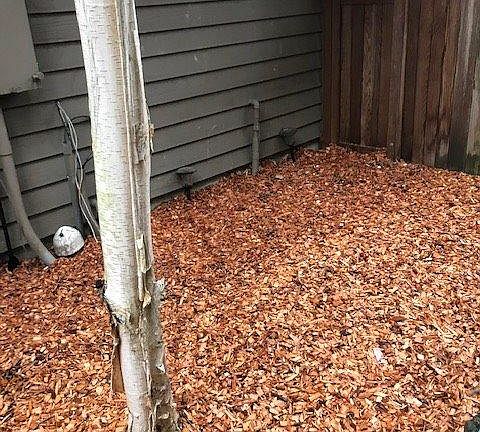 3rd image of 3622 22nd Ave W