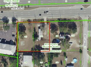 29504 State Road 54, Wesley Chapel, FL 33543