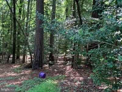 12669 Catalina Dr, Lusby, MD, 20657