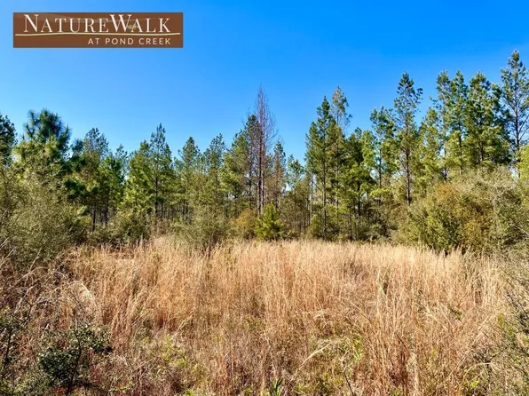 29 Naturewalk Dr, Milton, FL 32571