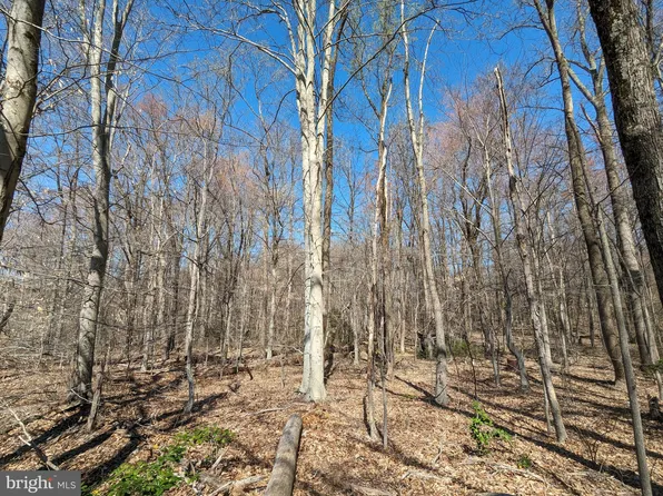 Danville Rd, Brandywine, MD 20613