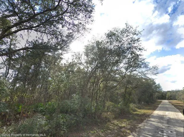 35016 Batesfield St, Webster, FL 33597