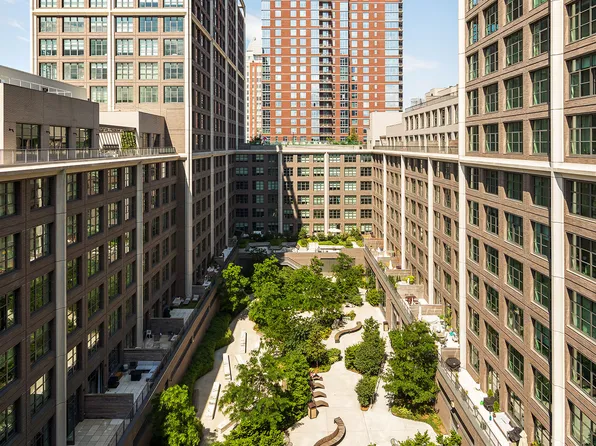 115 York Street image 11 of 42