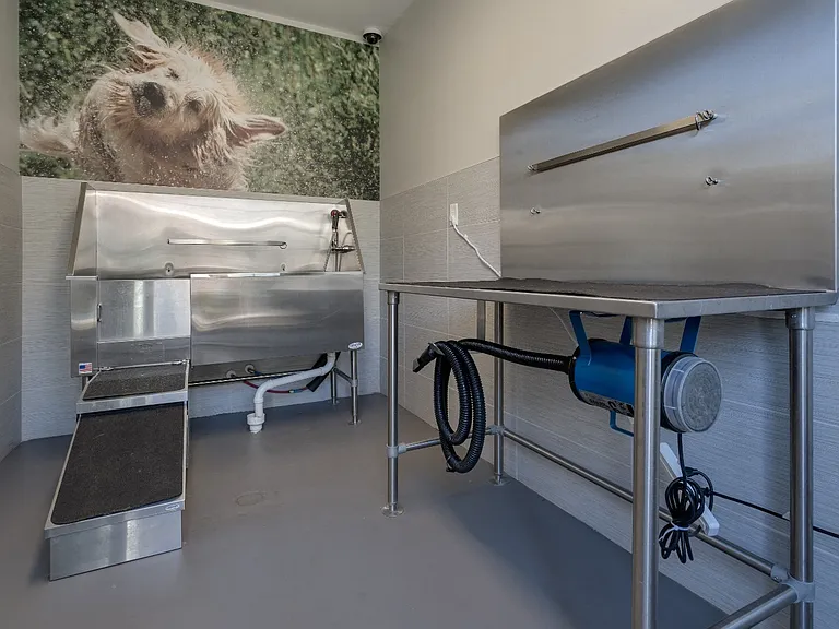 Pet Spa