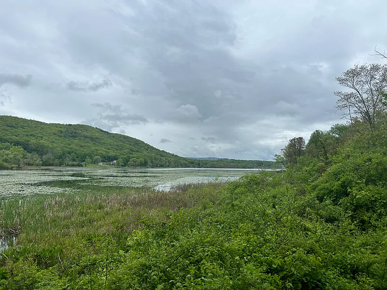 Views of the lake