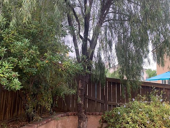 3rd image of 29137 Bluestone Dr