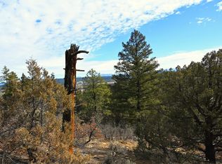 0 Rd Cr 1 #322-D, Tierra Amarilla, NM 87575