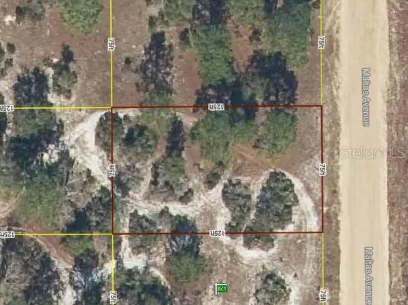 23 Maltas Ave, Interlachen, FL 32148