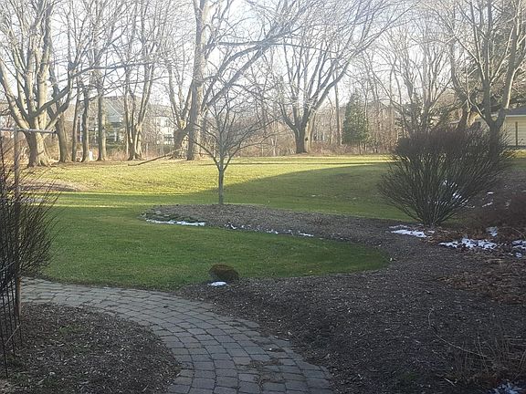 Beautiful Backyard