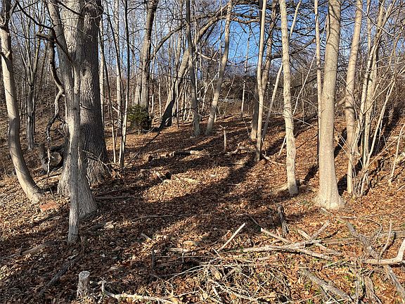 4th image of 1 Ridge St