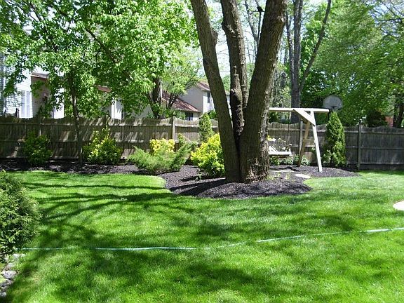 Back yard