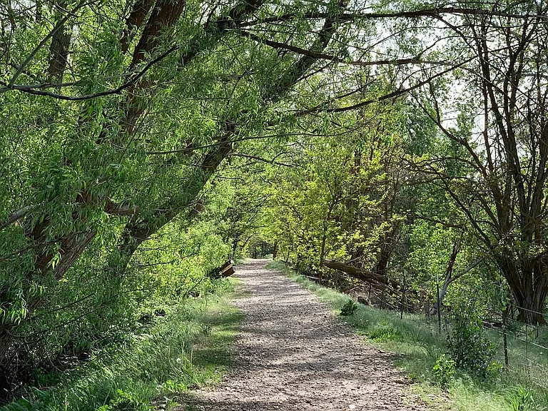 Star River Walk