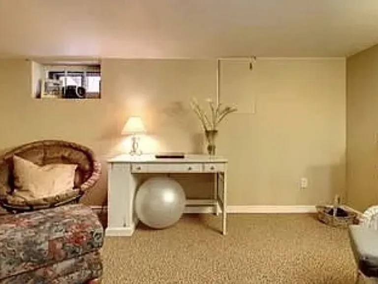 Basement Bonus Room