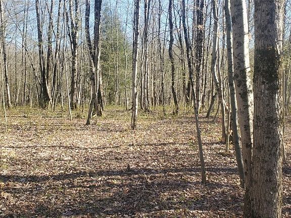 5th image of Walker Rd