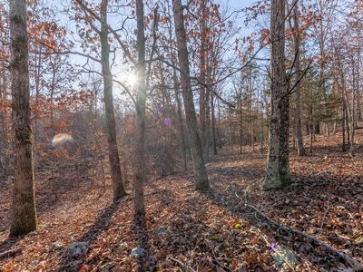 9184 Murphy Way, Birch Tree, MO, 65438