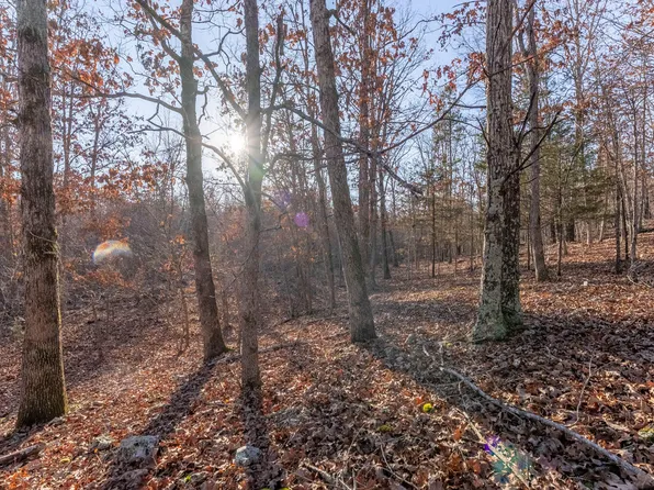 9184 Murphy Way, Birch Tree, MO 65438