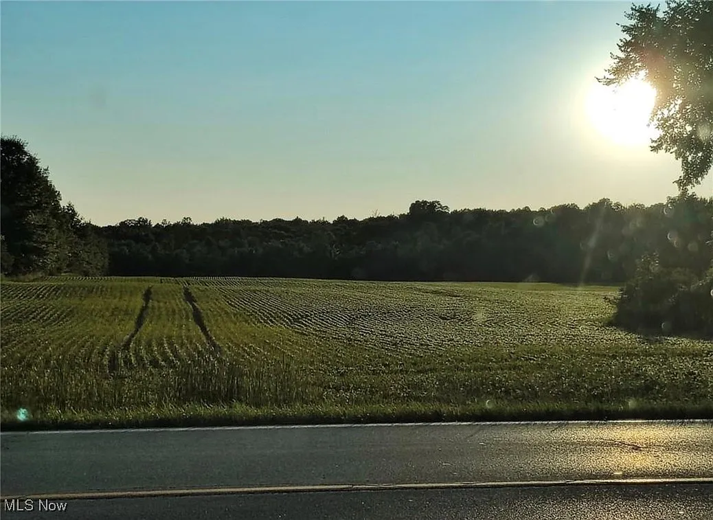 4896 Ridge Rd photo 1