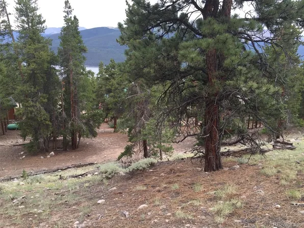 464 Parry Peak Drive LOT 181r, Twin Lakes, CO 81251