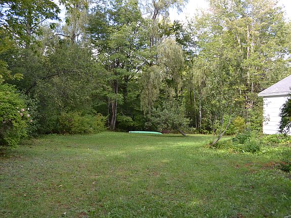 Back yard