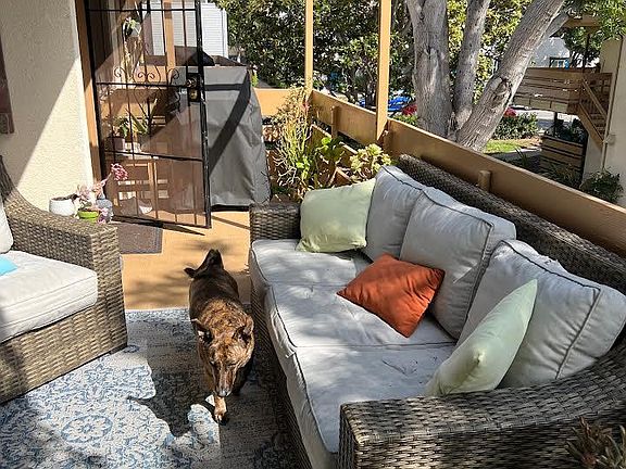 This could be your patio set up!